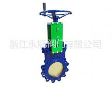 手(shou)動偏心暗杆(gan)刀閘閥PZ43H